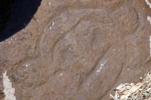 Tibes Indian Ceremonial Center