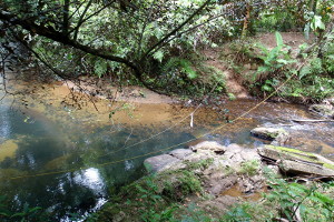 River Crossing on Rio Sabana trail