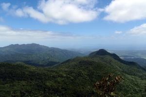 El Yunque National Forest