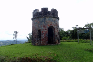 Toro Negro Forest