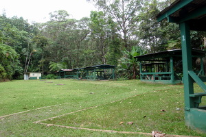 Toro Negro Forest