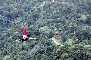 Toro Verde Nature Adventure Park Toro Verde Nature Adventure Park