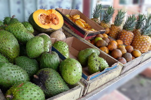Fresh Fruit in Puerto Rico