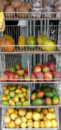 Fresh Fruit in Puerto Rico