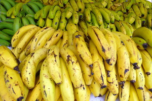 Fresh Fruit in Puerto Rico