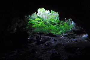 Cave in Campo Rico