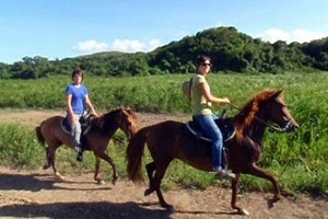 Tropical Trail Rides Campo Rico