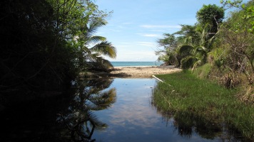 Playa Negra Vieques