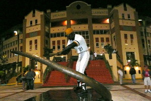 WINTER LEAGUE BASEBALL winter league baseball: