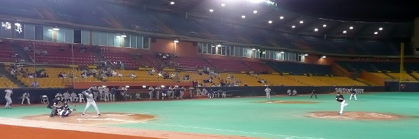WINTER LEAGUE BASEBALL winter league baseball: