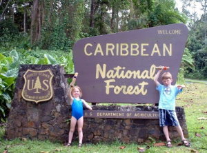 Kids at the rain forest
