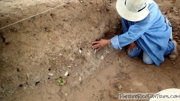 Las Cabezas de San Juan Archaeological Site