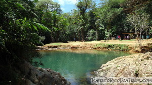 Charco Azul in Carite Forest