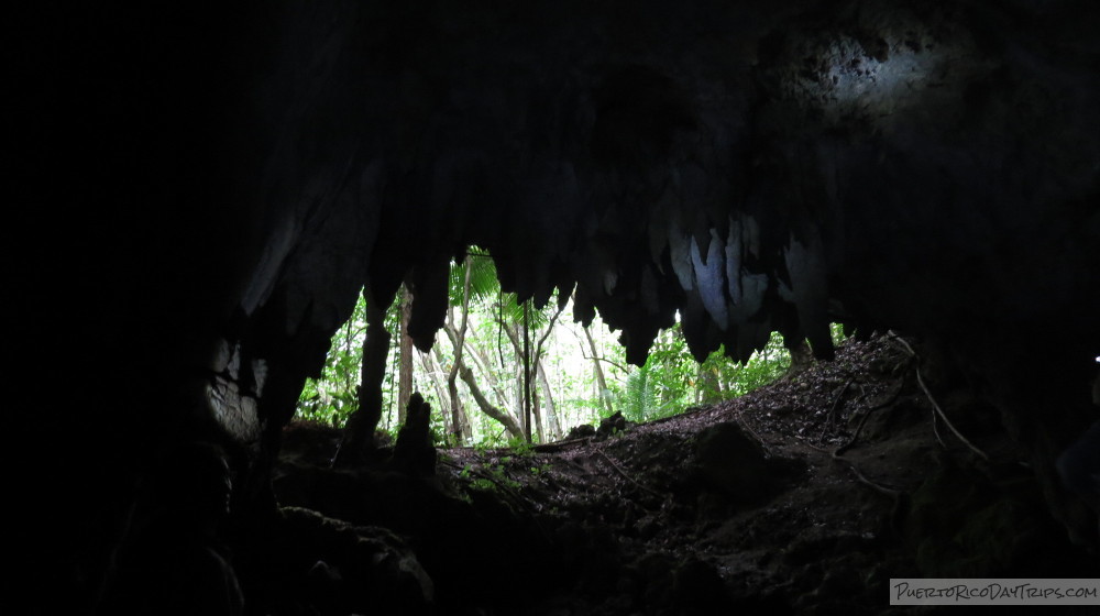 Cueva del Agua Río Abajo Forest