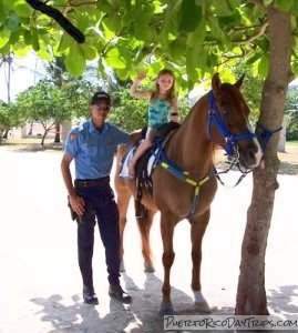 Friendly mounted police at Seven Seas