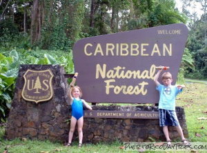 Kids at the rain forest