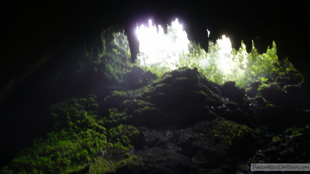 cave tours in puerto rico