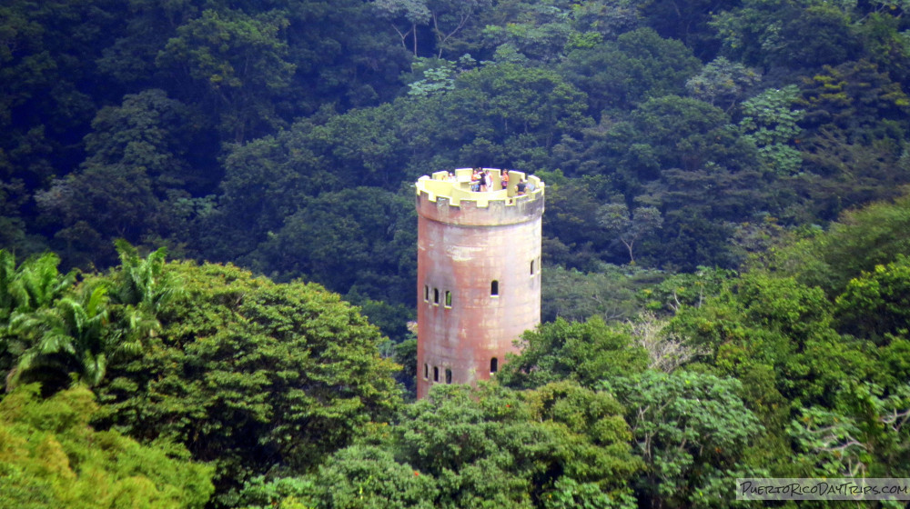 A 21-year-old woman gets lost in the El Yunque national forest.