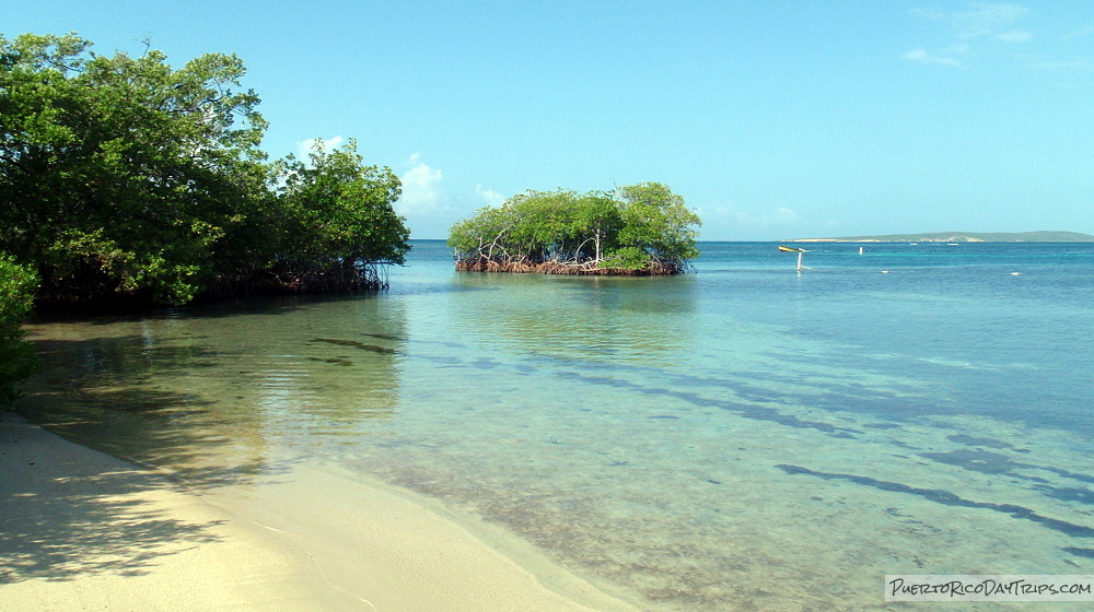 gilligan's island puerto rico tour