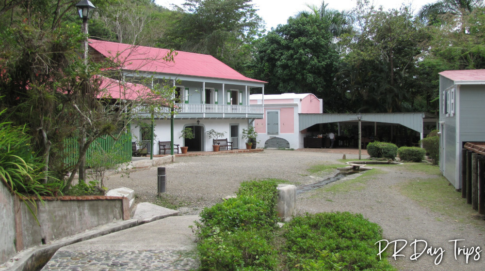 coffee tour puerto rico