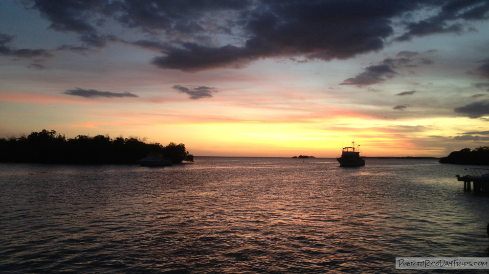 tour bahia bioluminiscente lajas