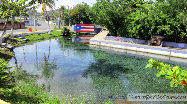 Ojo de Agua – A Natural Spring in Vega Baja | PRDayTrips