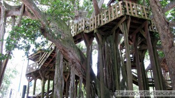 Aguadilla Treehouse Park