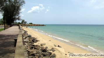 Aguadilla Treehouse Park