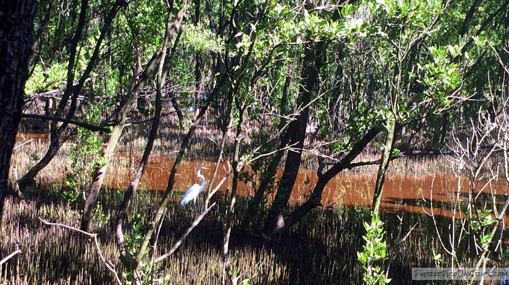 Aguirre State Forest