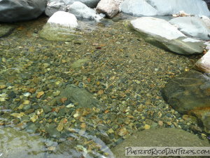 Crystal clear Mameyes River