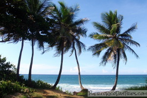 Domes Beach, Rincon