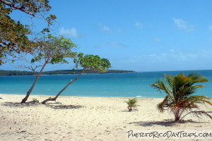 Balneario Sun Bay, Vieques