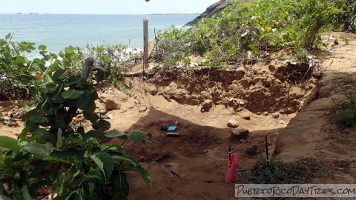 Las Cabezas de San Juan Archaeological Site