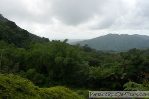 View from Caimitillo Trail