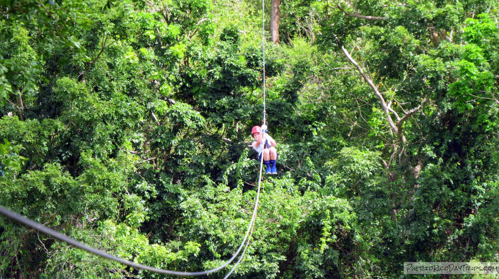 Campo Rico Zipline