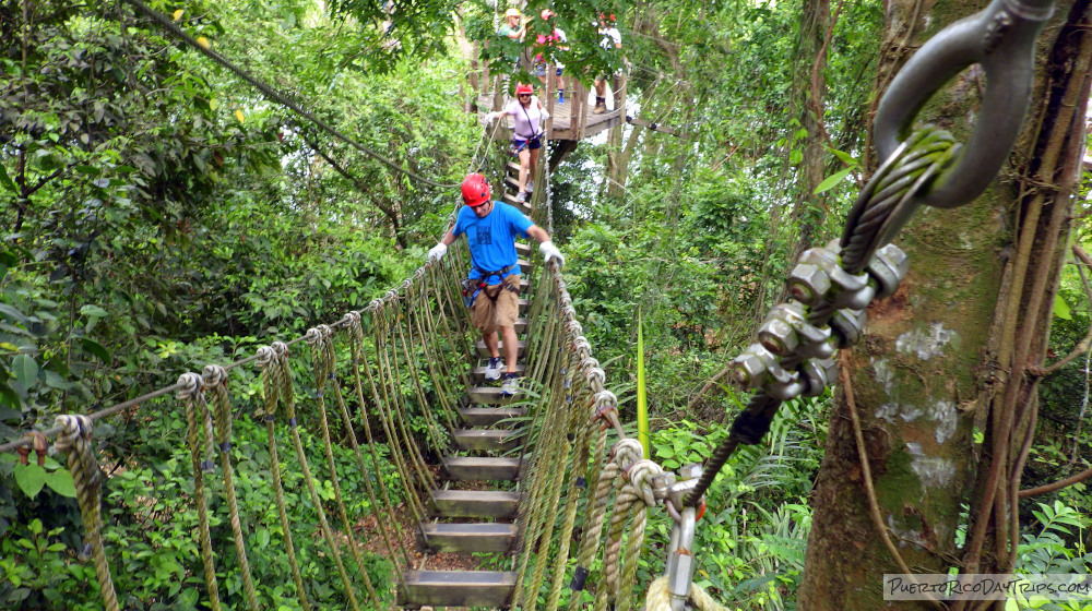 Campo Rico Zipline