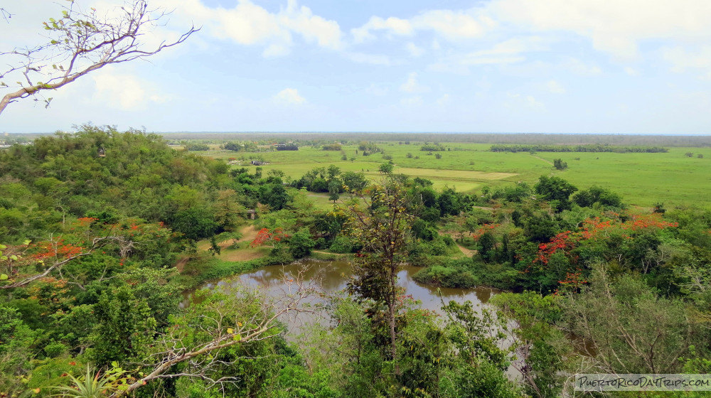 Campo Rico Zipline