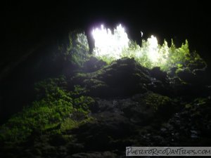Entrance to Camuy Cave