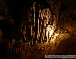 Formation in Camuy Cave
