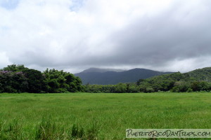 Horseback Riding at Carabali Rainforest Park