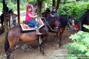 Horseback Riding at Carabali Rainforest Park