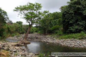 Horseback Riding at Carabali Rainforest Park