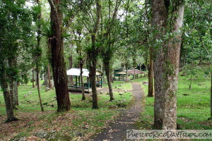 Picnic Area in Carite Forest