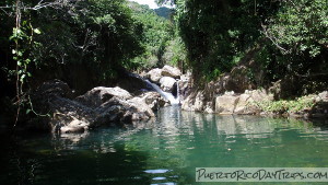 Survivor Falls in Carite Forest