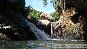 Survivor Falls in Carite Forest