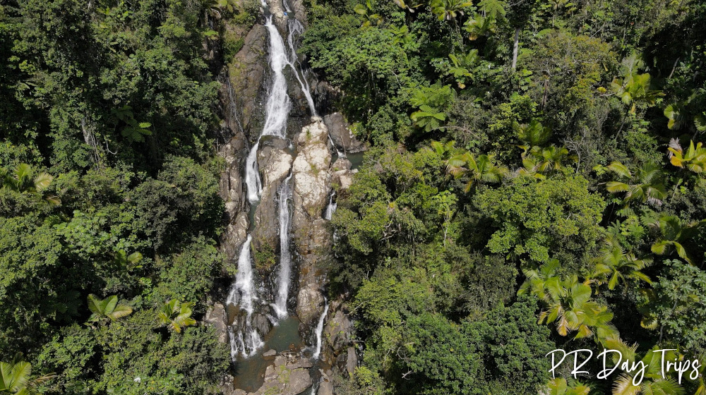 Carite Forest Infinity Pool