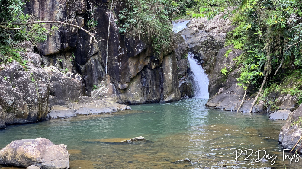 Carite Forest Infinity Pool