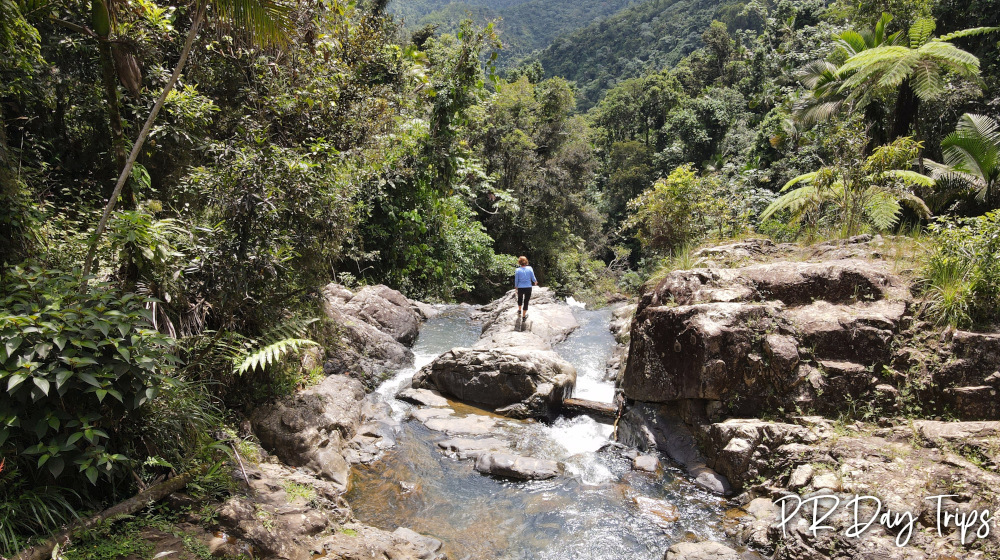 Carite Forest Infinity Pool