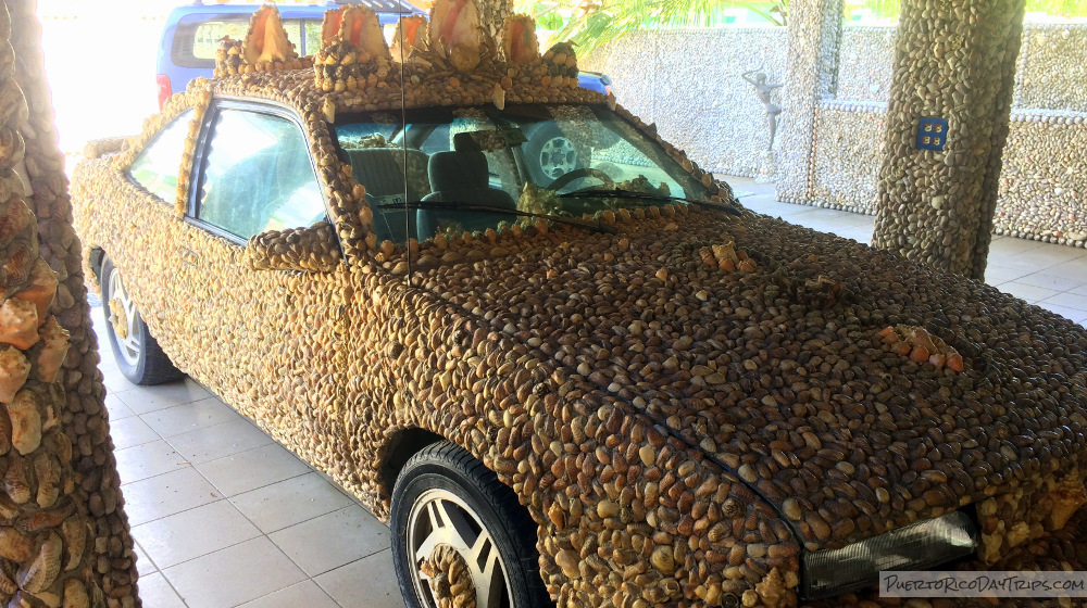 FOR THE SHELL OF IT