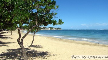 Cerro Gordo Beach